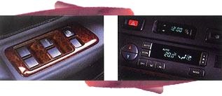 nissan-elektr..jpg (20594 bytes)